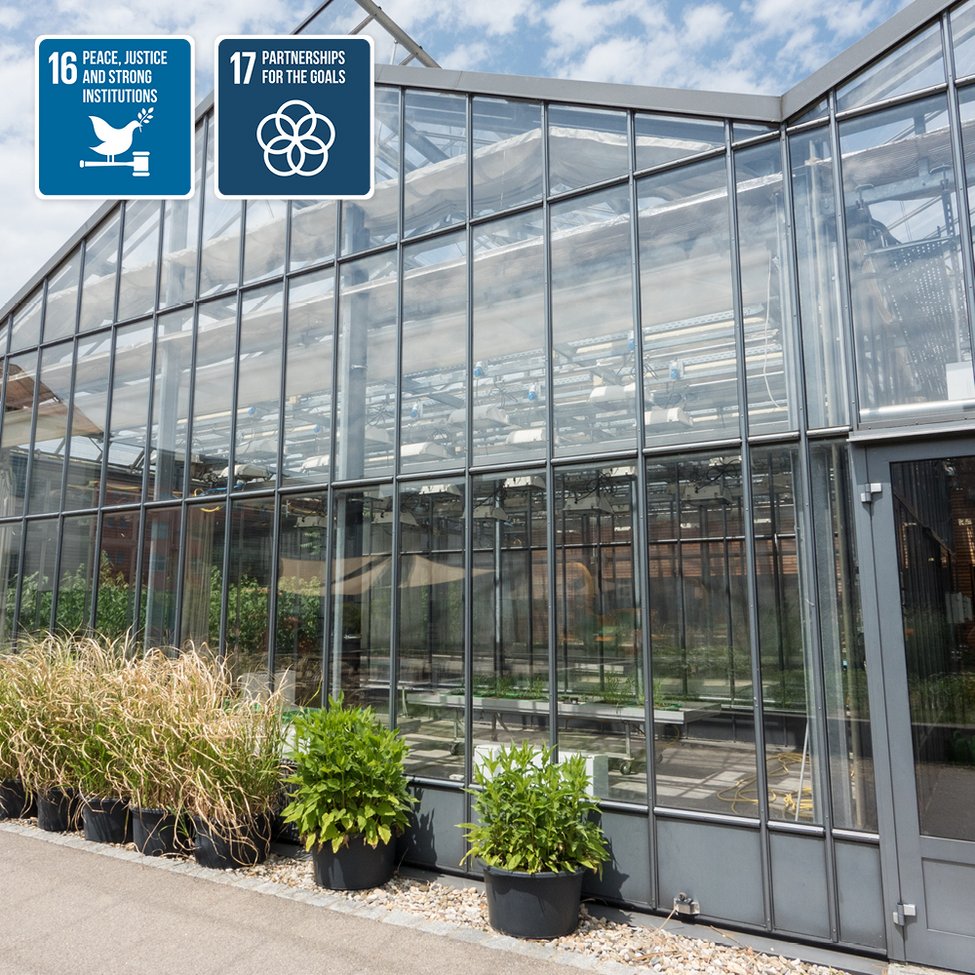 Greenhouse on TUM campus Straubing with plants in front of the building.