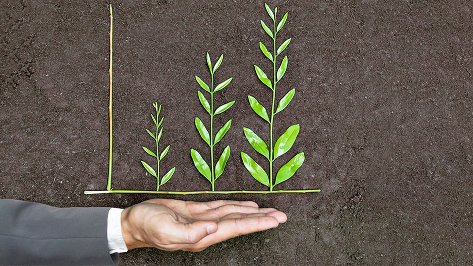 Hand holds three sprouts in different sizes on a brown sandy background.